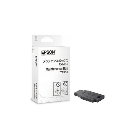 epson wf 100 recuperateur dencre usagee c13t295000