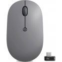 Souris sans fil USB-C Lenovo Go (4Y51C21216)