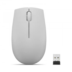 Souris Lenovo compacte sans fil 300 – Arctic Grey, avec batterie (GY51L15678)