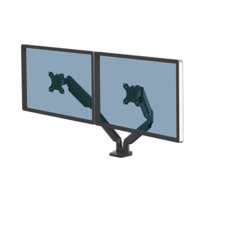 Fellowes Bras porte écran simple Eppa Argent (9683001)