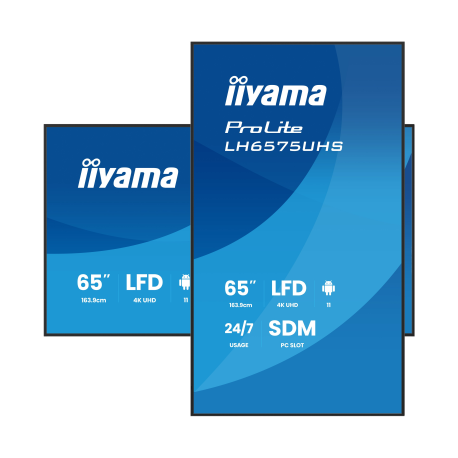 Écran professionnel pour l affichage dynamique 65" IIYAMA ProLite LH6575UHS-B2AG prix Maroc