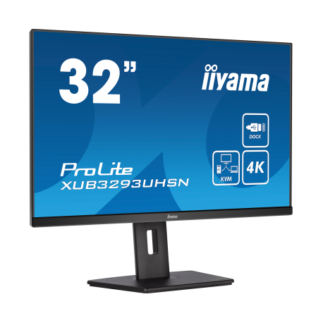 écran iiyama 24" LED Tactile - ProLite T2453MTS-B1
