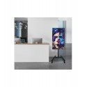 Chariot Mobile pour Écran Plat jusqu’à 55" Momentum One B-TECH (BT7504/B V2)