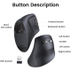 Souris Bluetooth Ugreen Multi-mode Vertical Noir 25444 prix Maroc