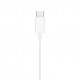 apple-earpods-usb-c-myqy3zma prix maroc tabtel