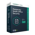 Kaspersky Small Office Security 8.0 | 1 Serveur / 10 Postes (KL45418BKFS-20MWCA)