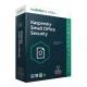 Kaspersky Small Office Security 8.0-2 Server+20 postes (KL45418BNFS-20MWCA)