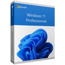 Windows 11 Professionnel 64 bits Français (Licence originale + DVD) (FQC-10532)