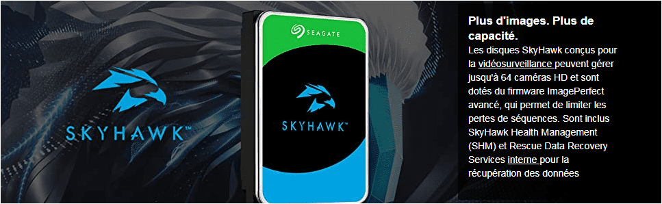 Disque Dur Interne 3.5 Seagate SkyHawk Surveillance 1 To